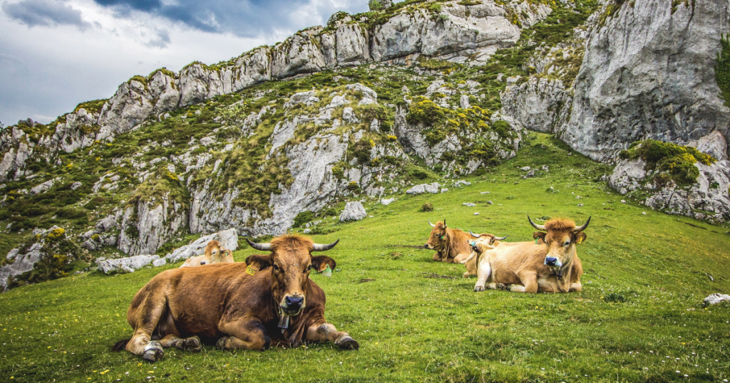 3 Reasons Why Analysts Are Bullish on Bitcoin