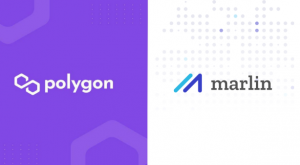 Marlin’s OpenWeaver And FlowMint 2.0 Rewards Come To Polygon