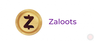 AppZaloot: A Disruptive Social Media App Puts Social Back into Local